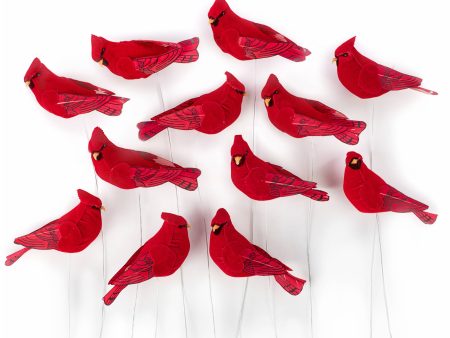 3.5  Velvet Feather Cardinal: Red (Set of 12) Hot on Sale