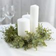 14  Eucalyptus Candle Ring Sale