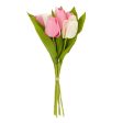 13  Tulip Bouquet (7): Pink Online