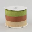 2.5  Bold Stripe Ribbon: Green, Brown & Cream Fashion