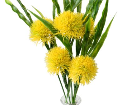 15  Pom Pom Bush: Yellow Supply