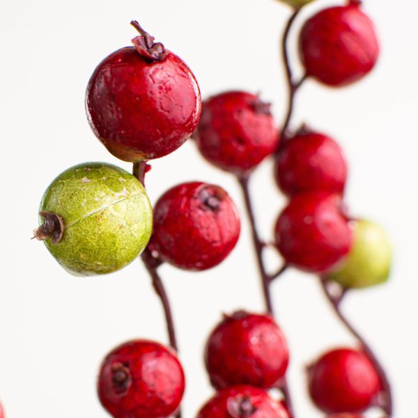 12  Crabapple Berry Pick: Red & Lime Green Sale