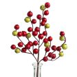 12  Crabapple Berry Pick: Red & Lime Green Sale