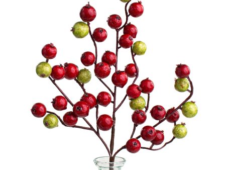 12  Crabapple Berry Pick: Red & Lime Green Sale