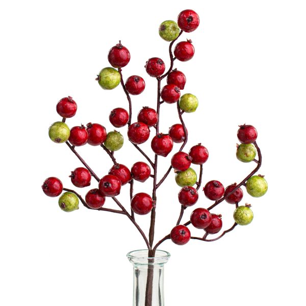 12  Crabapple Berry Pick: Red & Lime Green Sale