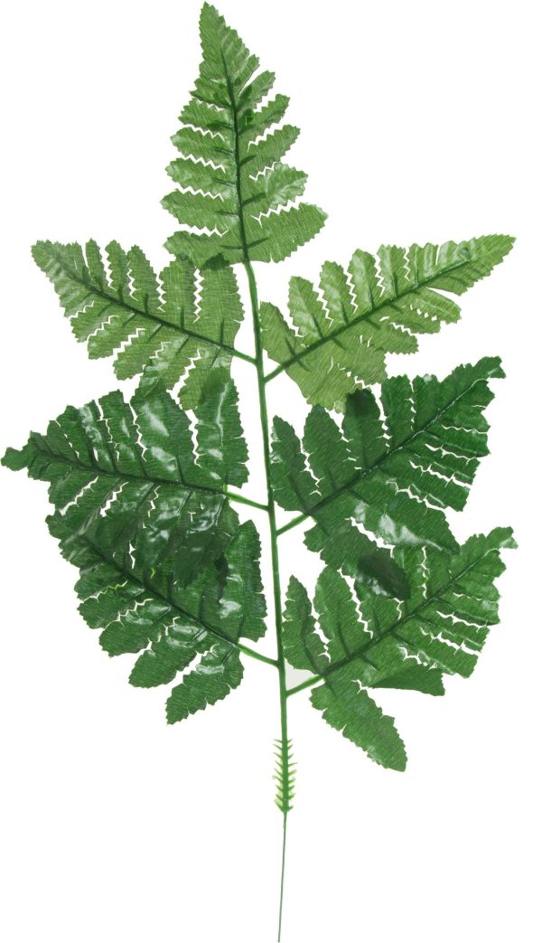 16  Green Leather Leaf Fern Picks (12) For Discount