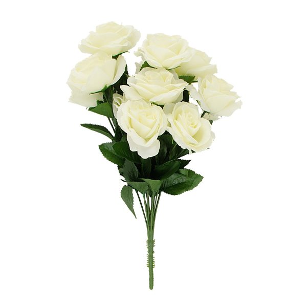 17  Colorfast Lillian Open Rose Bush (12): Cream Hot on Sale