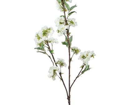 48  Cherry Blossom Branch: White Hot on Sale