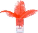 15  Ostrich Feather: Red Online now