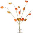 27  Orange Japanese Lantern Branch Spray Discount