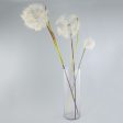 43  Dandelion Seed Head Spray: Cream on Sale