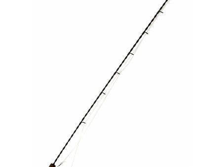 28  Ornamental Fishing Pole Online Sale