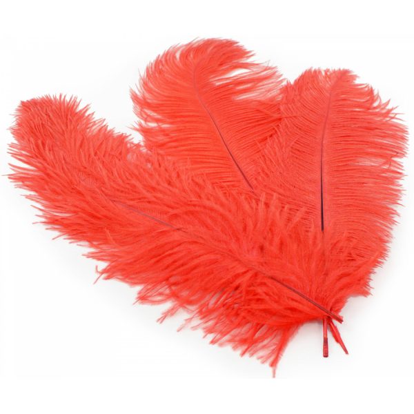 15  Ostrich Feather: Red Online now