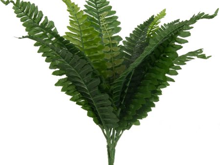 16  Green Boston Fern Bush (15 Fronds) Cheap