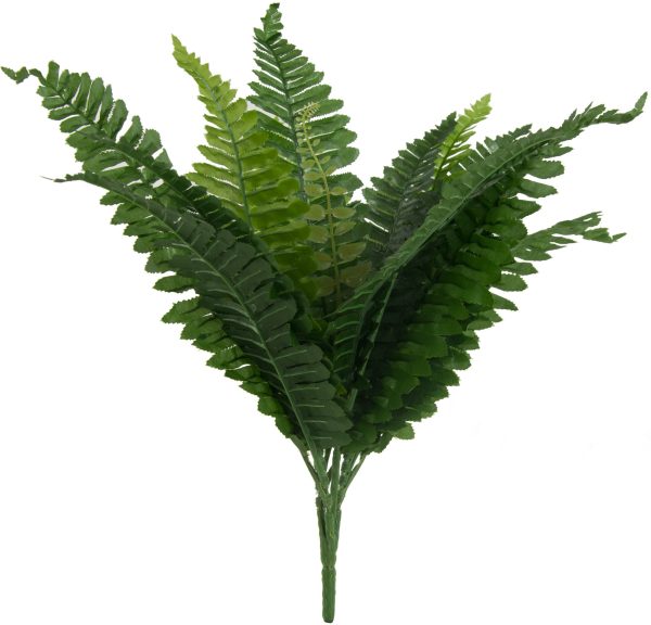 16  Green Boston Fern Bush (15 Fronds) Cheap