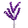 16  Frizzy Curly Pick: Purple Online now