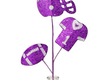 24  Glitter Helmet, Jersey, Football Pick: Purple & Silver Fashion