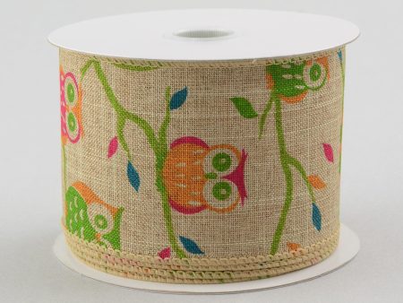 2.5  Canvas Spring Owl Ribbon (10 Yards) on Sale