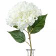 45  Jumbo Hydrangea Spray: Cream Fashion