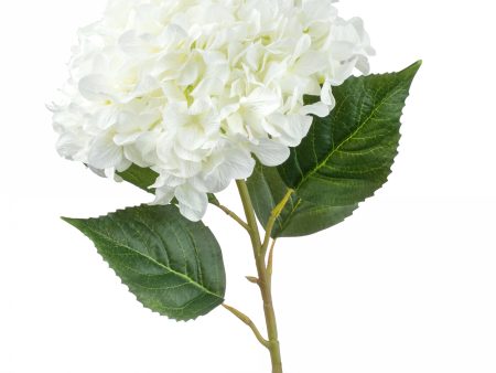 45  Jumbo Hydrangea Spray: Cream Fashion