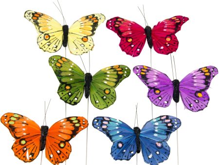 3.75  Feather Butterfly Pick Assortment: Primary Colors (12) Online Sale