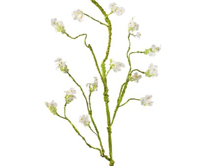 46  Wild Hydrangea Branch: Cream Online Sale