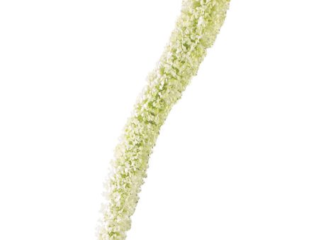 58  Foxtail Lily Floral Stem: Cream Online Sale