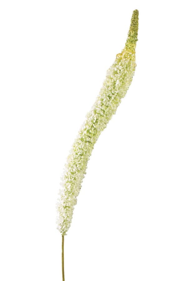 58  Foxtail Lily Floral Stem: Cream Online Sale