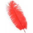 15  Ostrich Feather: Red Online now