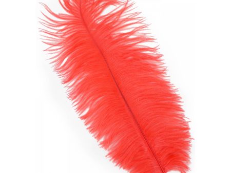 15  Ostrich Feather: Red Online now