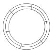 16-inch Wire Wreath Form: 3-Wire Black Online Hot Sale