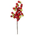 12  Crabapple Berry Pick: Red & Lime Green Sale