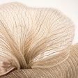 21  Burlap Deco Mesh: Ivory Cotton & Burlap (10 Yards) For Cheap