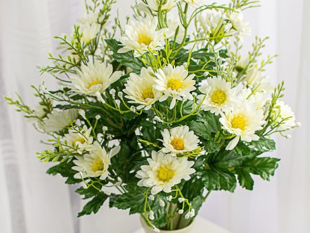 18  White Daisy Bush on Sale