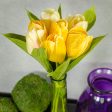 13  Tulip Bouquet (7): Yellow For Discount