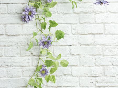 74  Clematis Garland: Purple Online Hot Sale