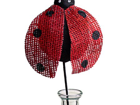 Open Wing Ladybug Pick Online Sale