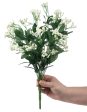 17  Colorfast Baby s Breath Gypsum Bush: Ivory Online Hot Sale