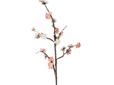 41  Plum Blossom Branch: Coral & Pink Cheap