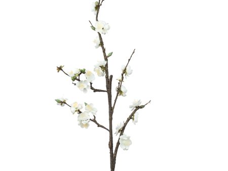 41  Plum Blossom Branch: Cream Hot on Sale