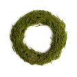 12  Mossy Angel Vine Twig Wreath: Green Fashion