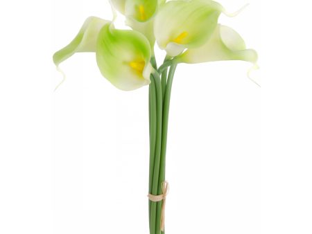 12  Calla Lily Flower Bunch (x7): Cream & Green Online now