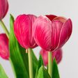 13  Realistic Touch Tulip Bouquet: Hot Pink (5) Supply