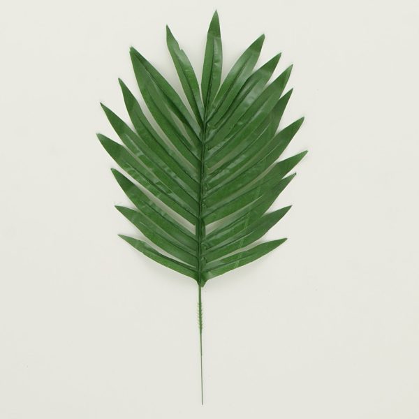 16  Green Palm Leaf (12) Online Hot Sale