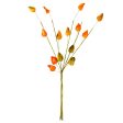 27  Orange Japanese Lantern Branch Spray Discount