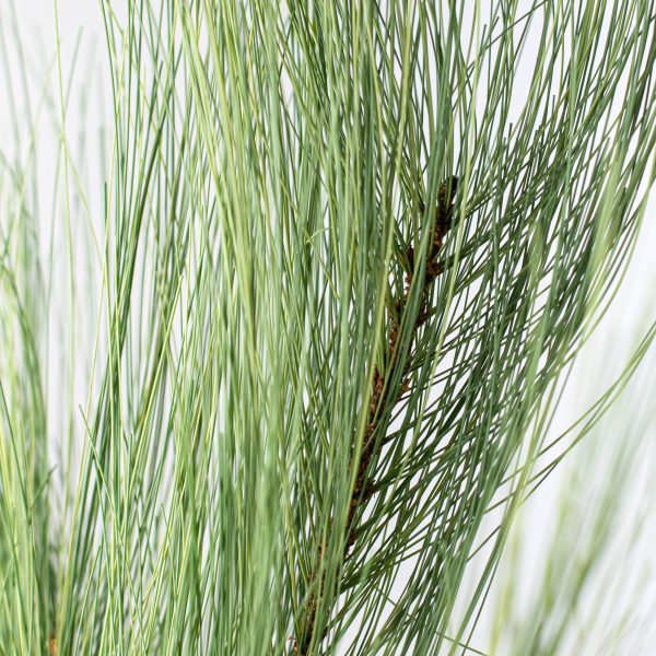 27  Pine Spray: Natural Green For Discount