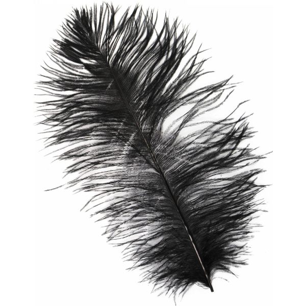 15  Ostrich Feather: Black Online Hot Sale