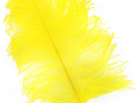 15  Ostrich Feather: Yellow Sale