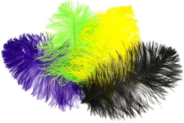 15  Ostrich Feather: Black Online Hot Sale