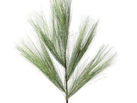 27  Pine Spray: Natural Green For Discount